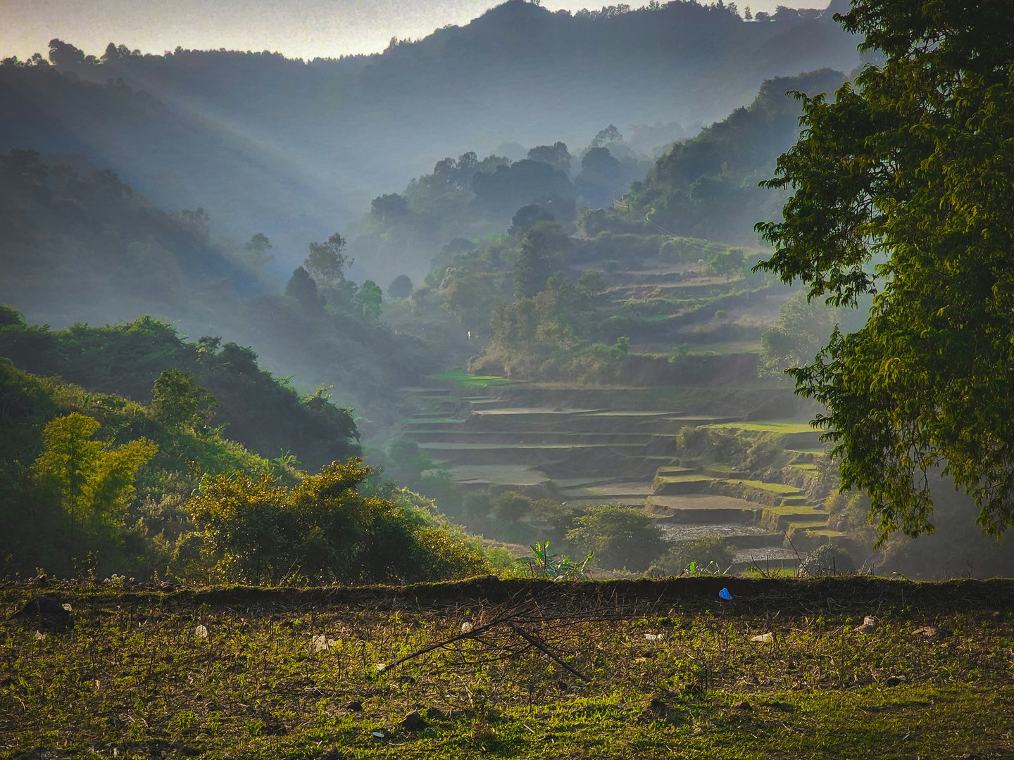 Layered green hills and terraced fields in the Araku Valley of Andhra Pradesh