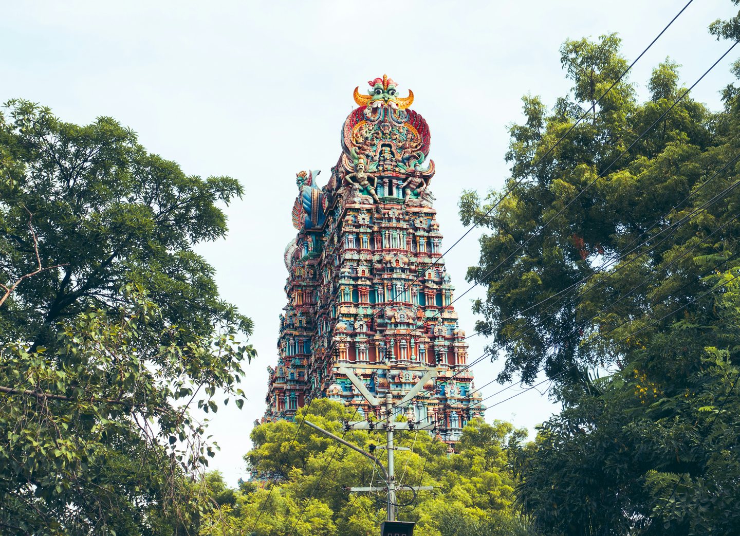 Colourful sculpted temple tower rising above trees in Madurai, Tamil Nadu